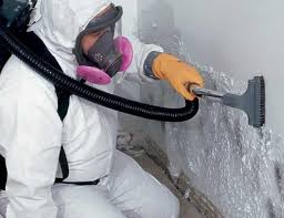 Best Comprehensive Air Testing for Mold Contaminants  in Amarillo, TX